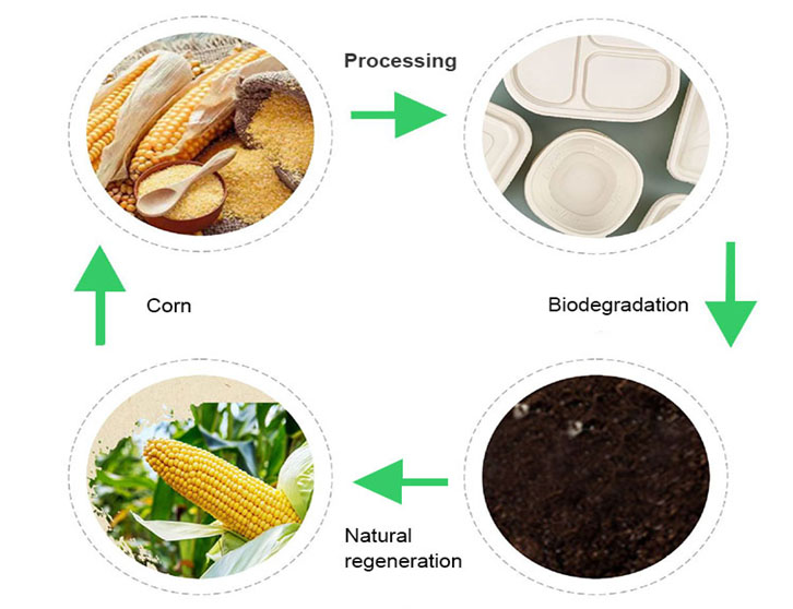 production et transformation de plateaux plats