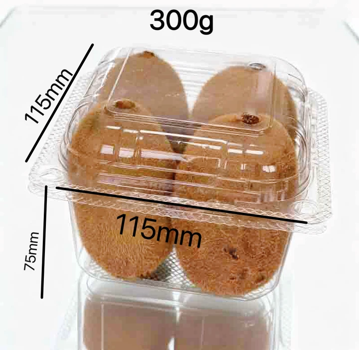 Ecofriendly PLA clamshell