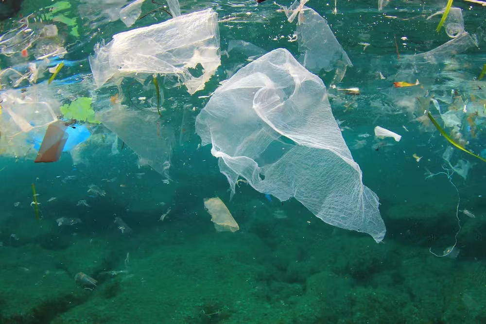 Plastic pollution