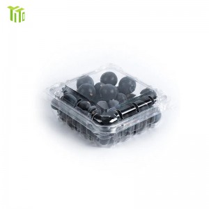 Blueberry Packaging Solutions