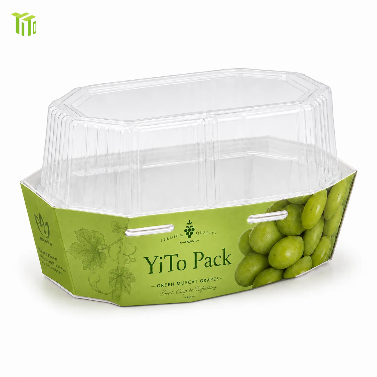 Cardboard Tray