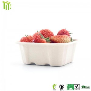 Compostable bagasse food tray 