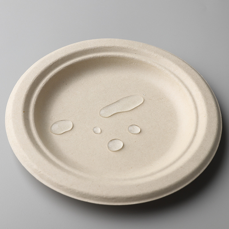 sugarcane plate