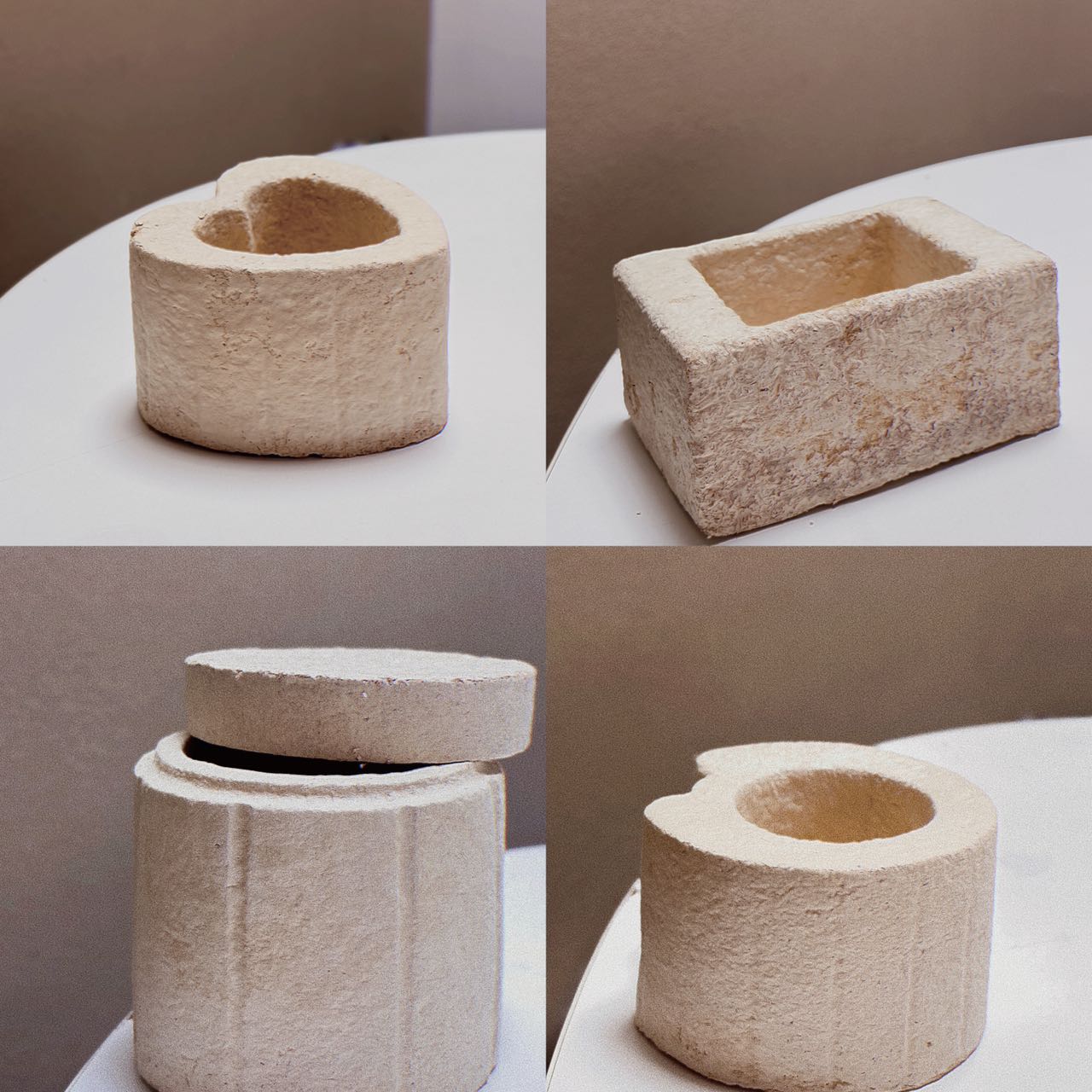 mycelium mushroom packaging boxes