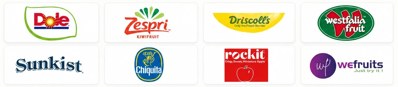 Trusted by Global Brands