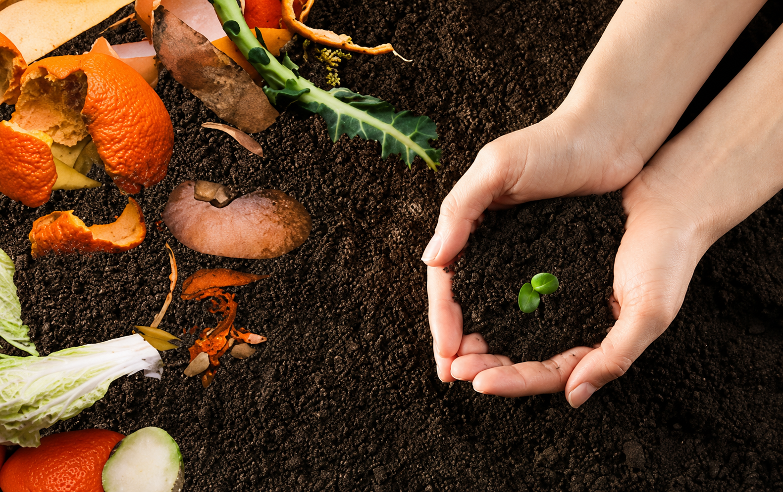 about compostable