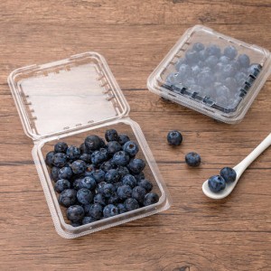 blueberry clamshell