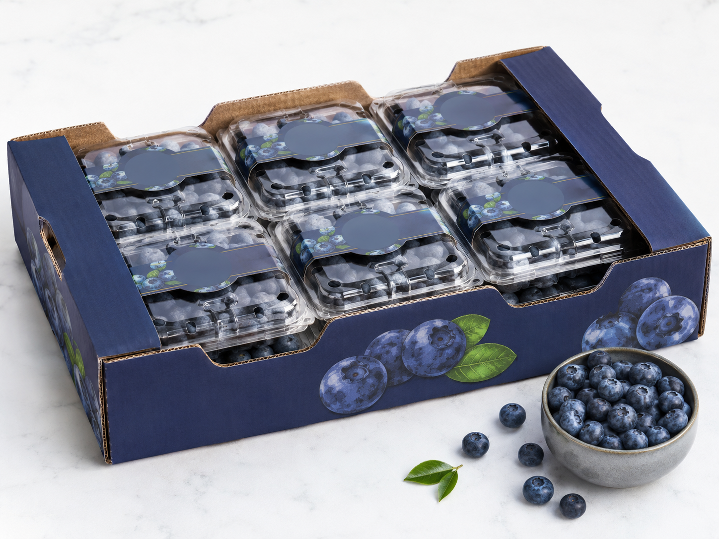 compostable blueberry clamshells (3)