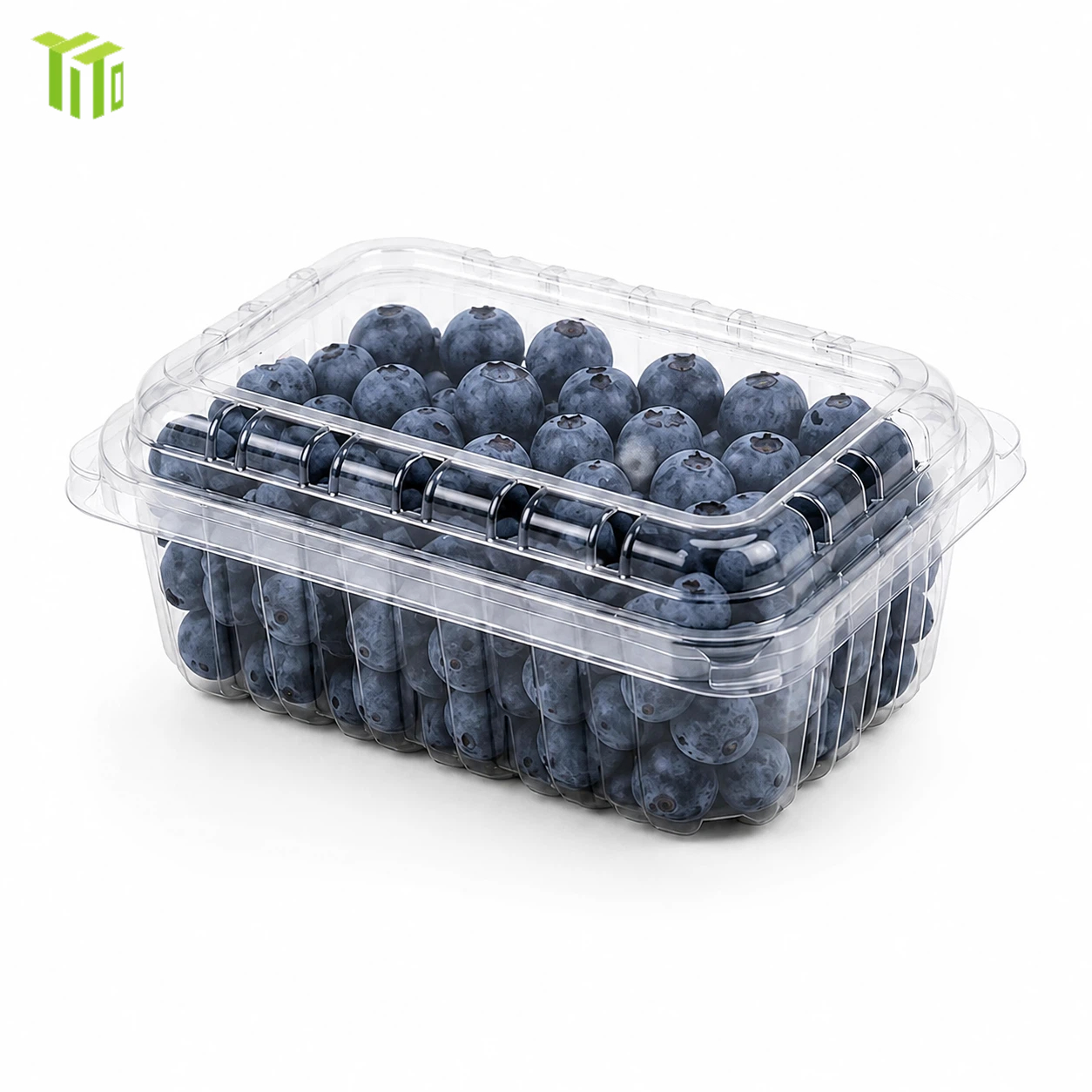 compostable blueberry punnet