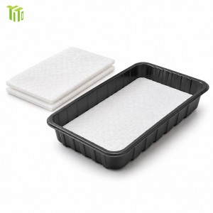 compostable blueberry trays