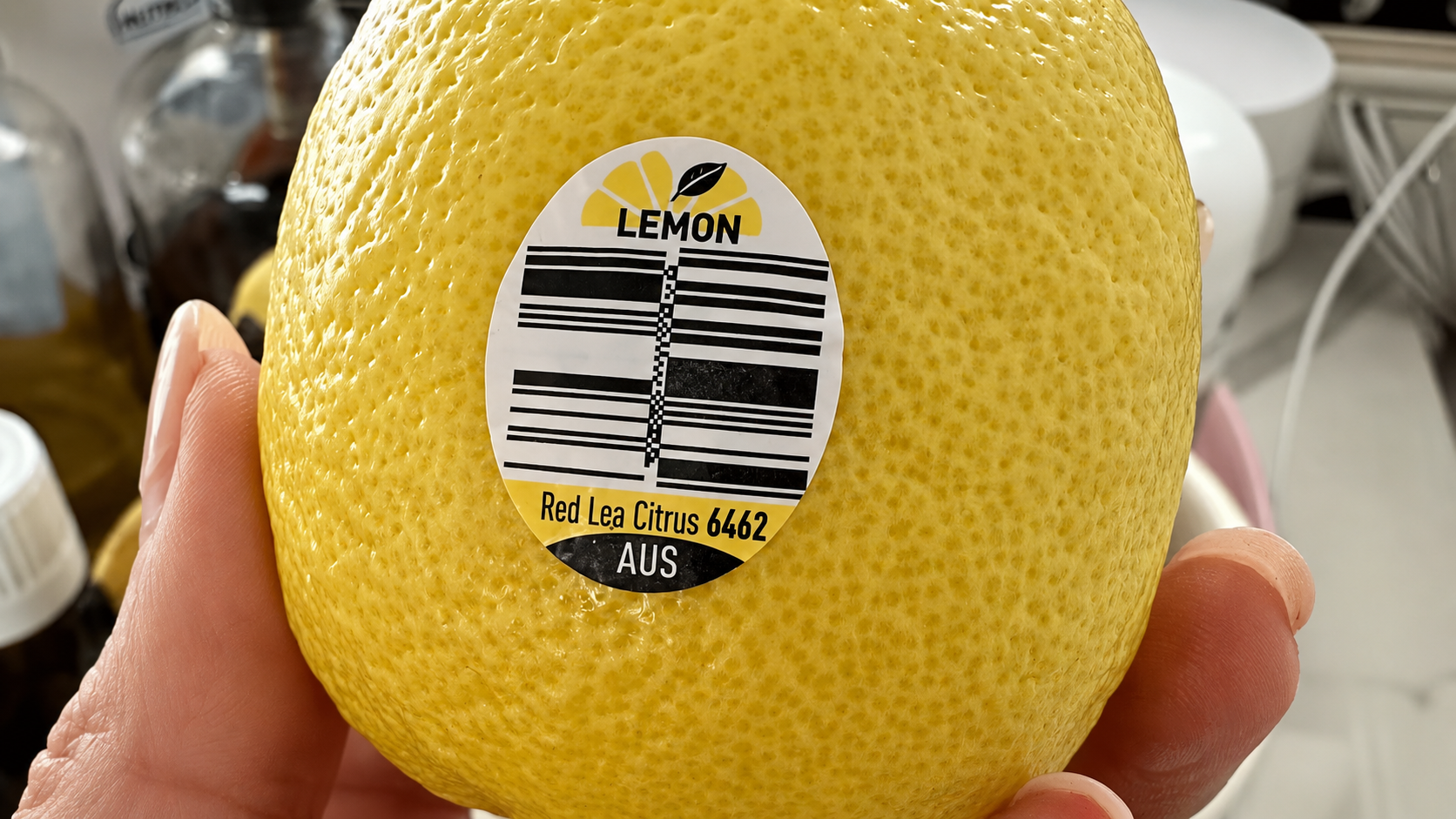 compostable fruit labels (1)