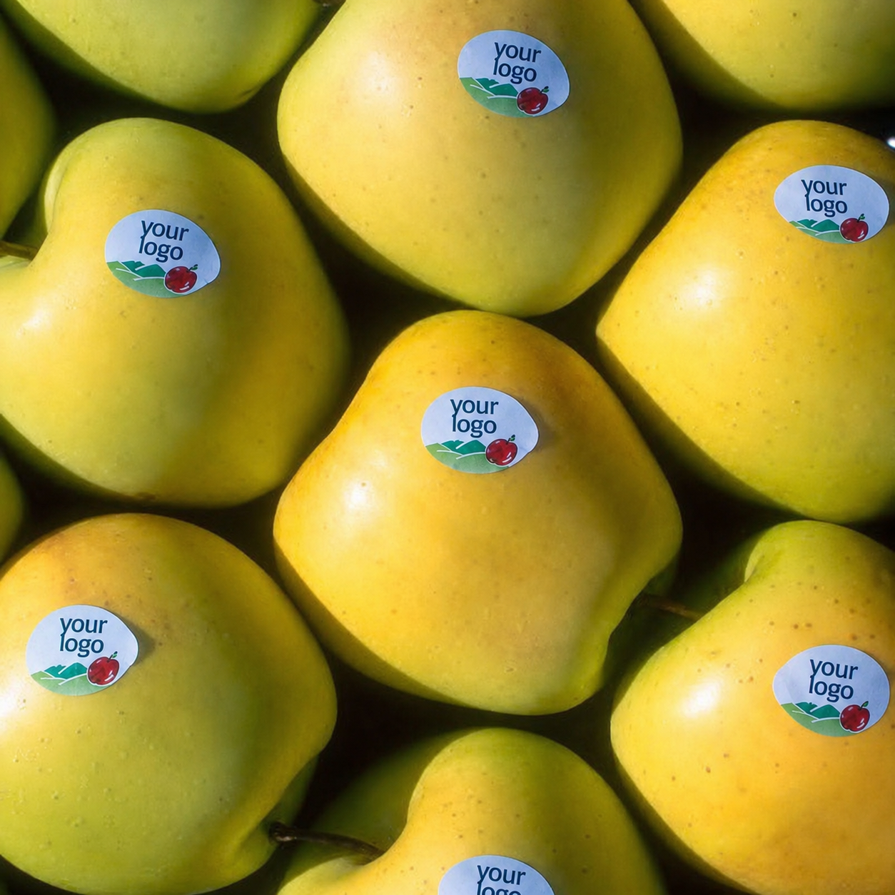 compostable fruit labels (2)