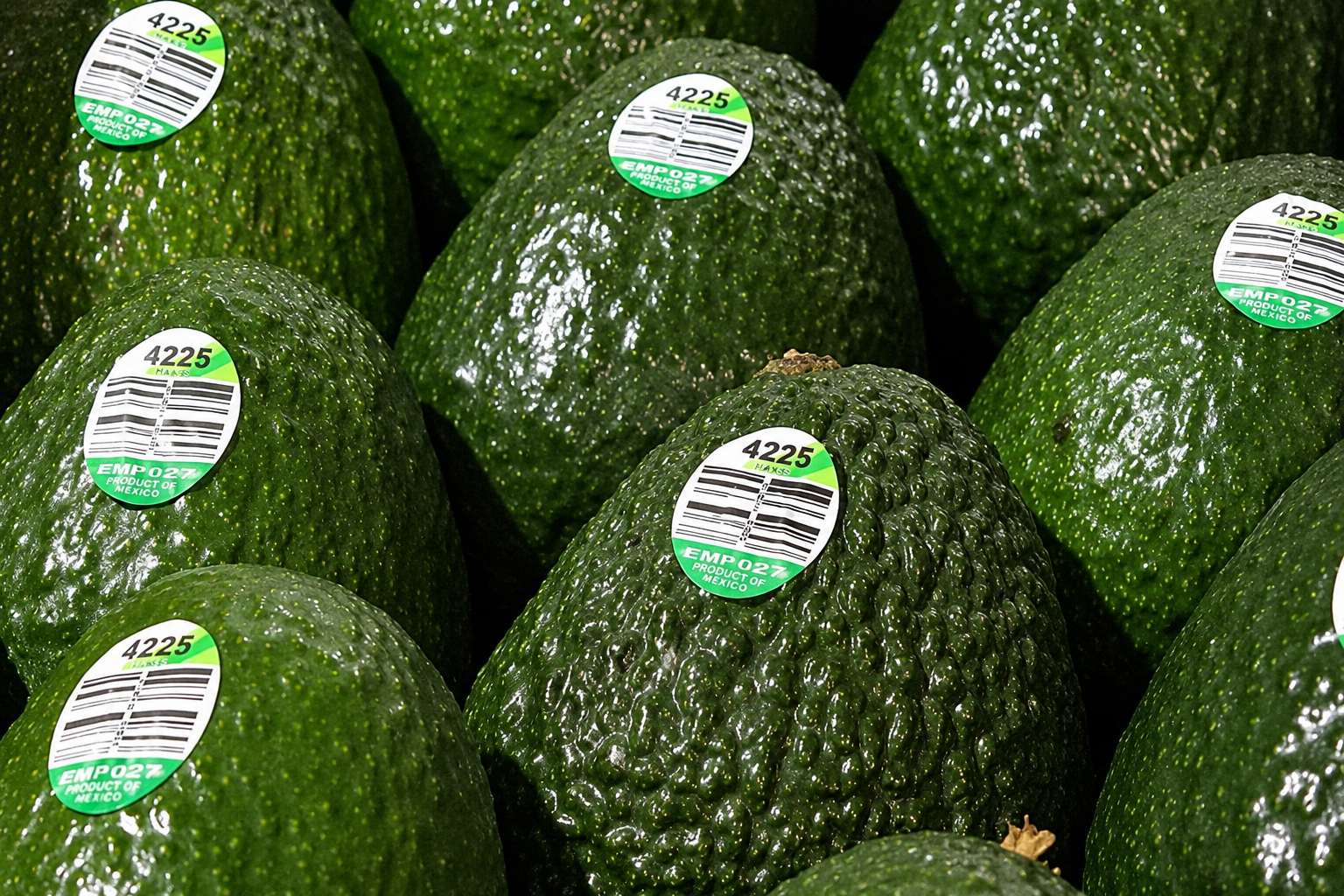 compostable fruit labels (3)