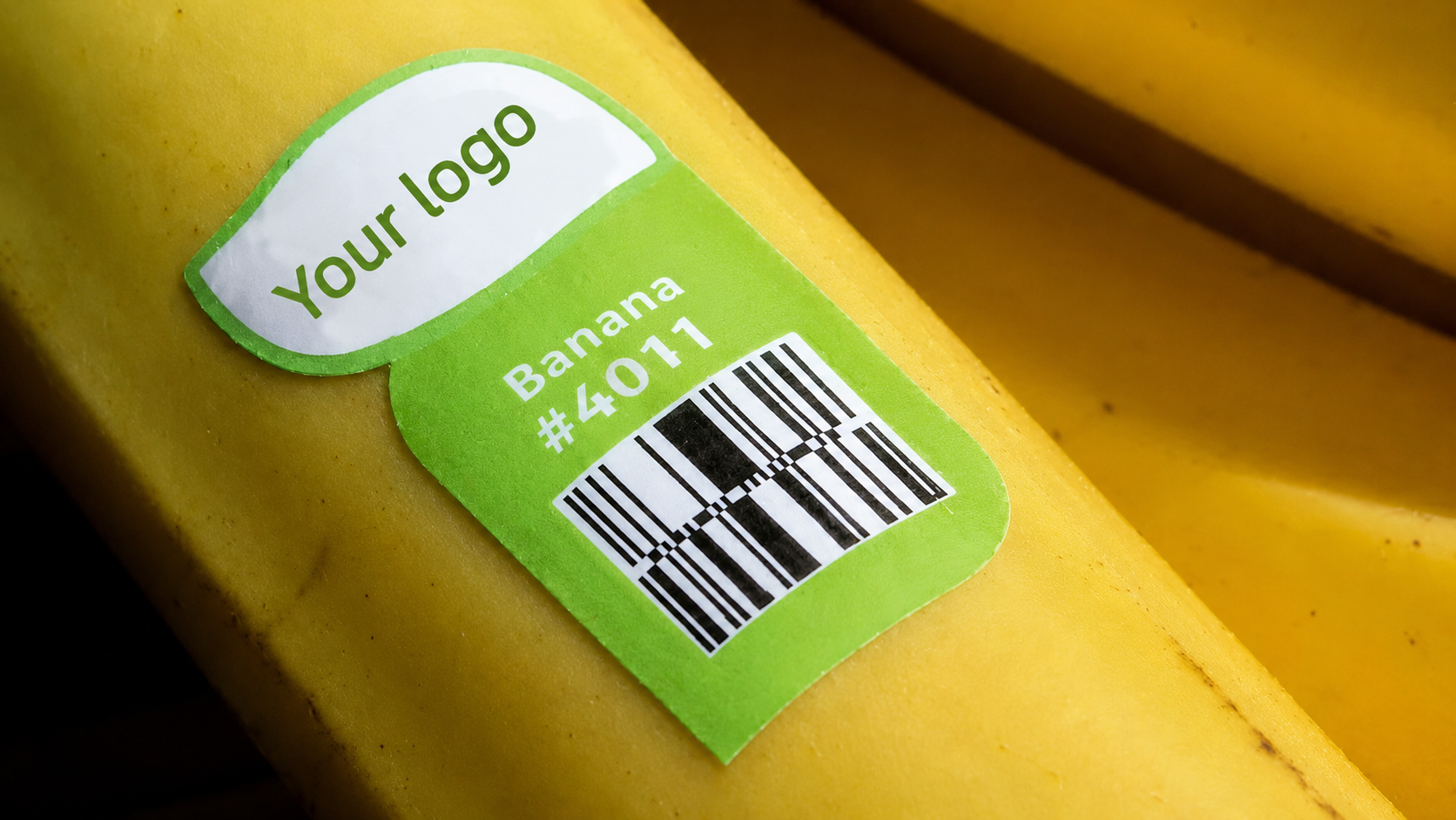 compostable fruit labels (4)