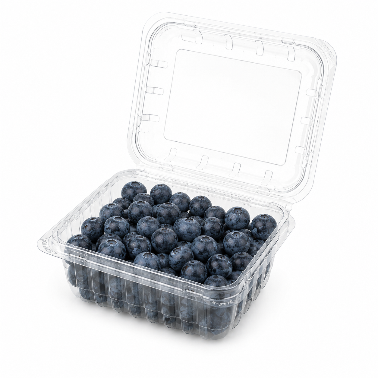 compostable pla clamshell (3)