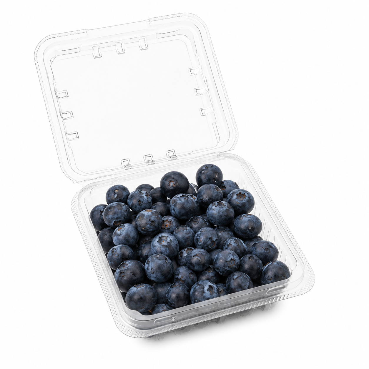 compostable pla clamshell (4)