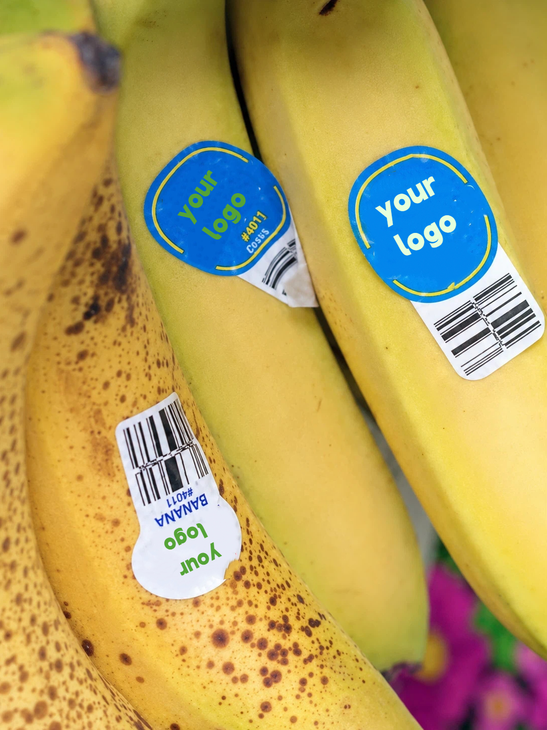 fruit labels (1)