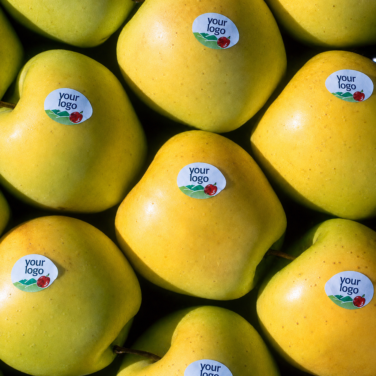 fruit labels
