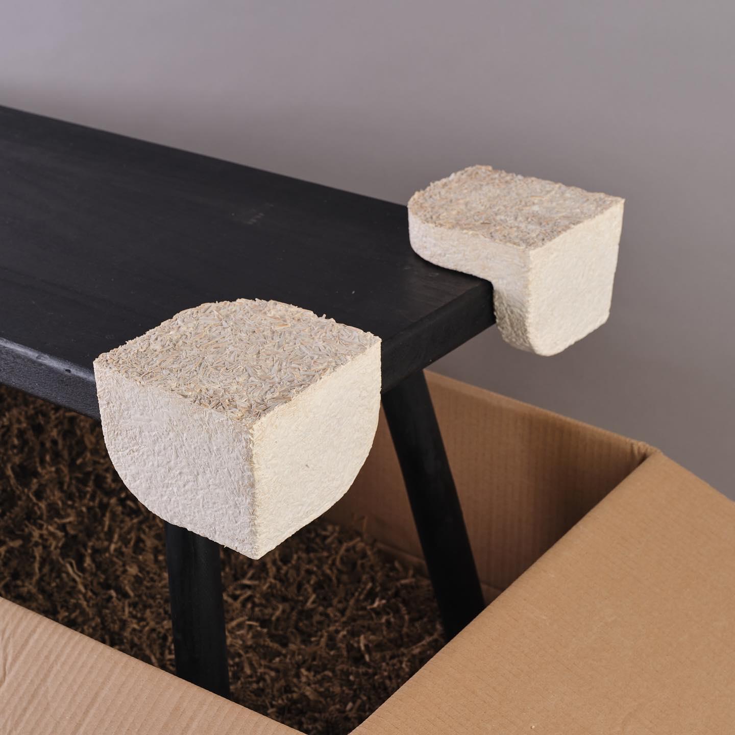 mycelium rdge protector