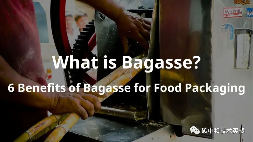 https://www.yitopack.com/biodegradable-bagasse-products/