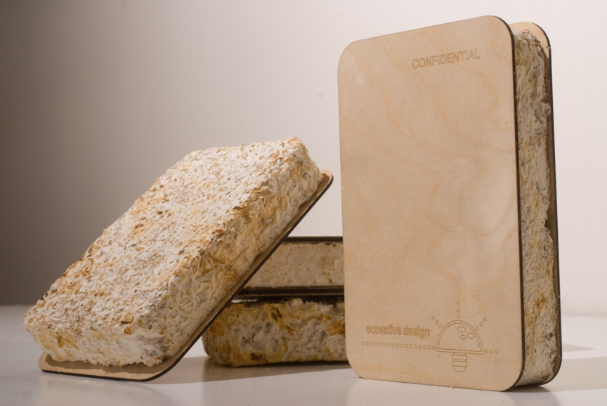 Mycelium Building Materials 