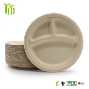 Sugarcane bagasse plate YITO